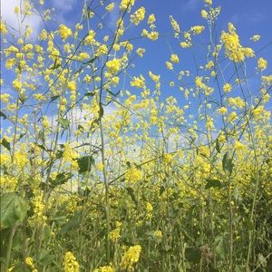 Meet your Posher, Aarushi